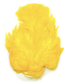 White Dyed Yellow